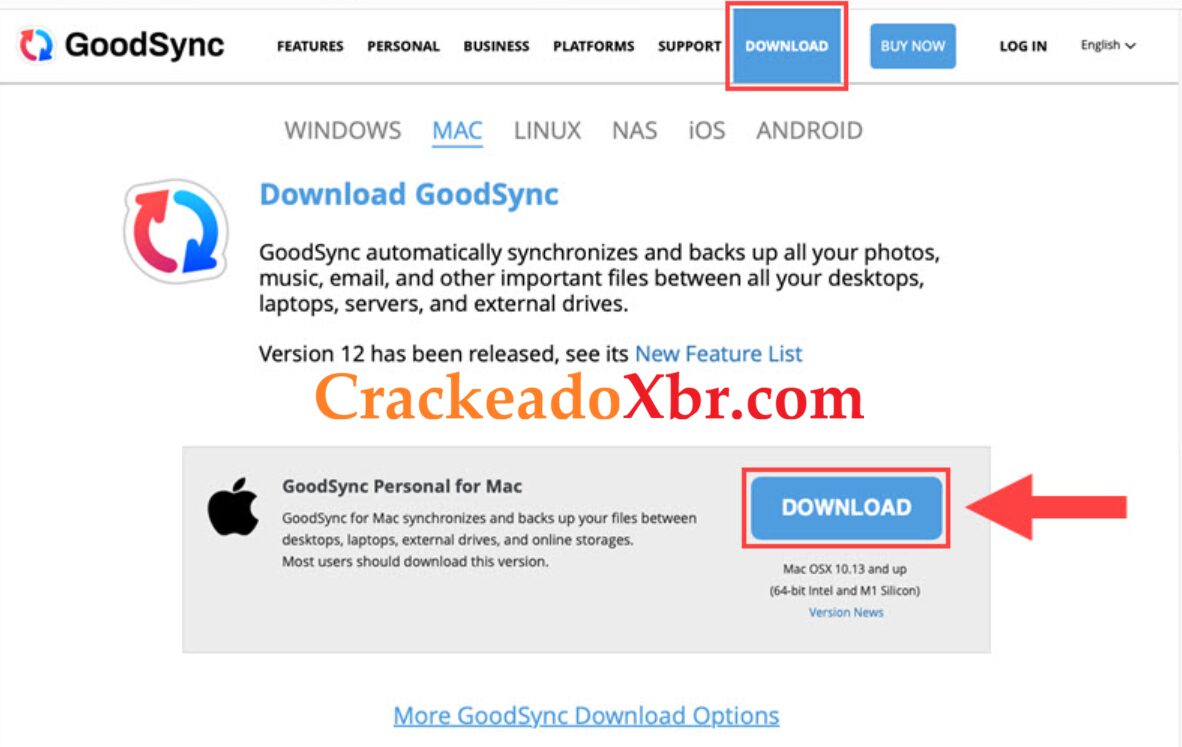 GoodSync Crackeado