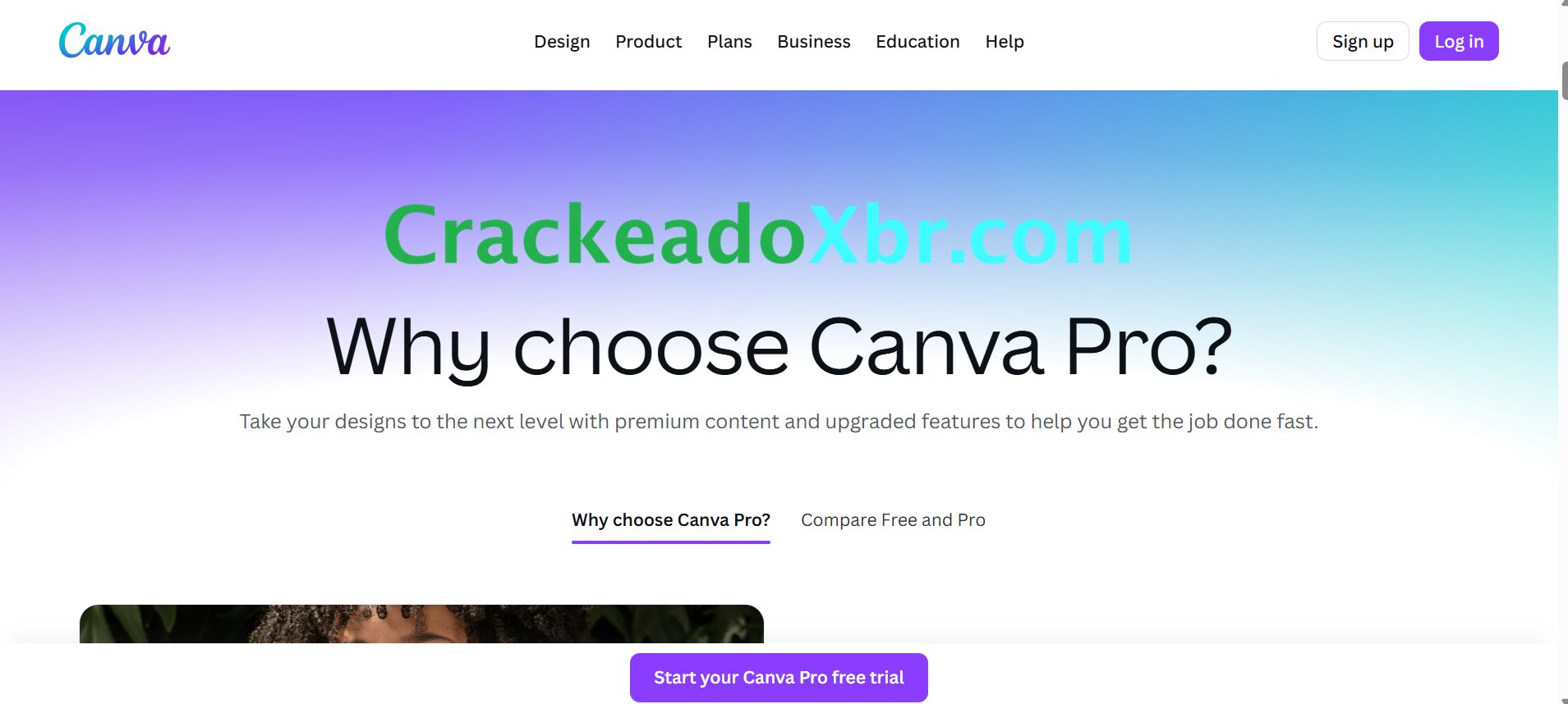 Canva Crackeado
